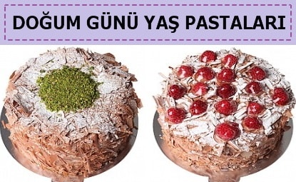Kayseri Fevzi akmak Doum gn ya pastalar